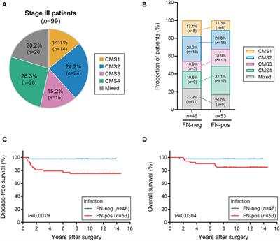 Fusobacterium nucleatum induces a tumor microenvironment with diminished adaptive immunity against colorectal cancers